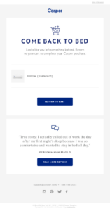 abandoned cart email example