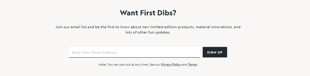 Allbirds email signup example Allbirds email signup example