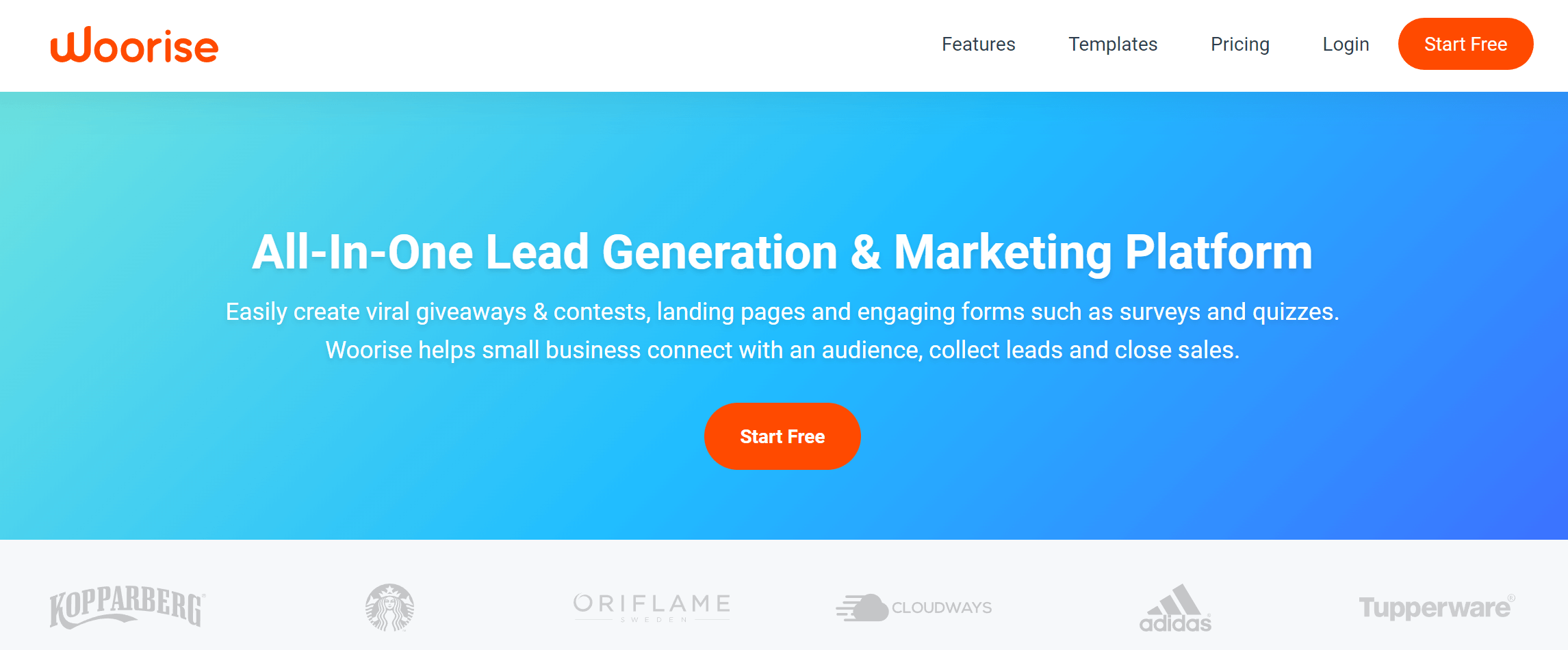 Woorise landing page builder solution